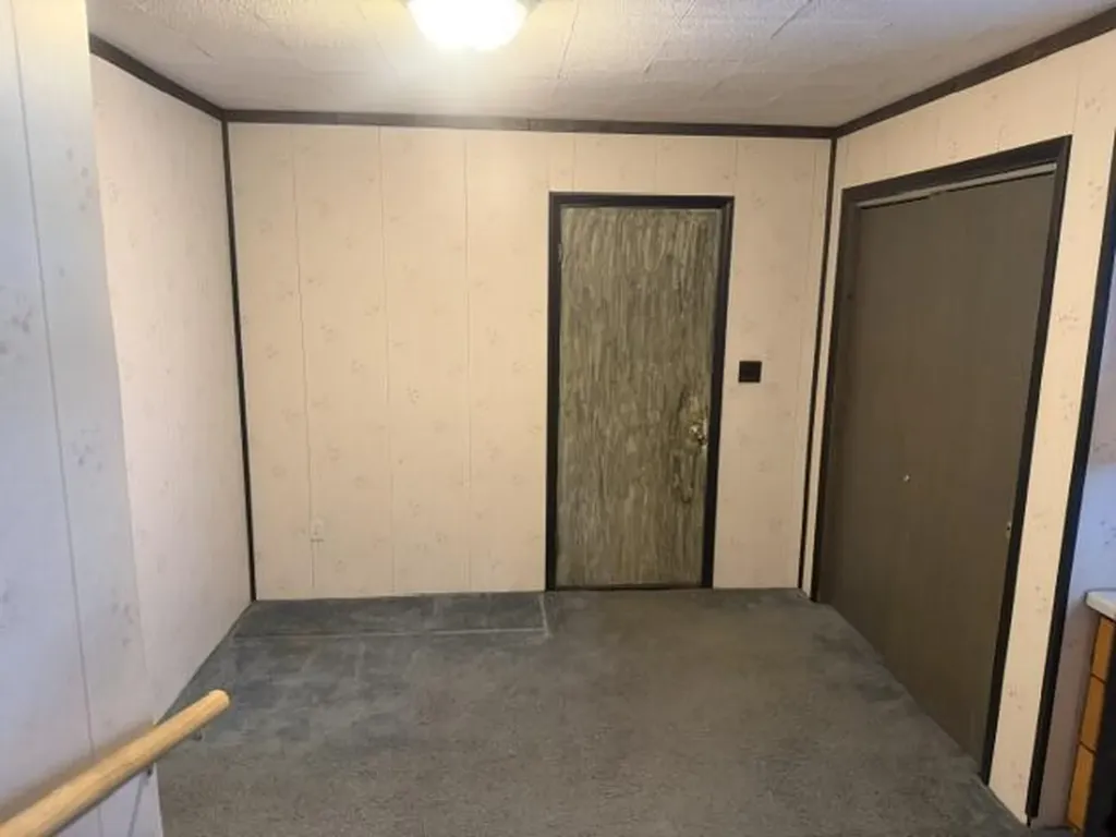 217 John Street Newaygo City MI 49337