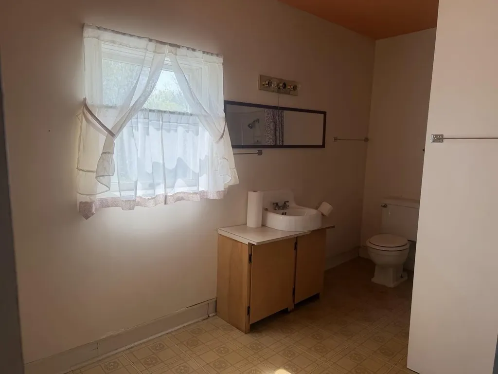 217 John Street Newaygo City MI 49337