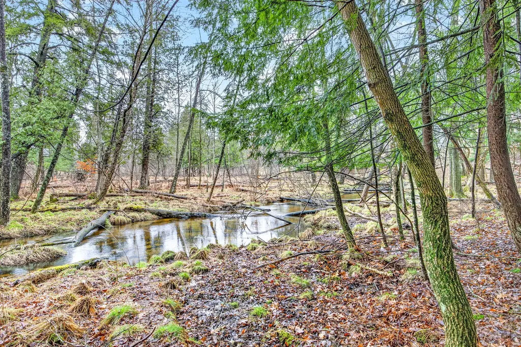 12136 Tullymore Drive Austin Township MI 49346