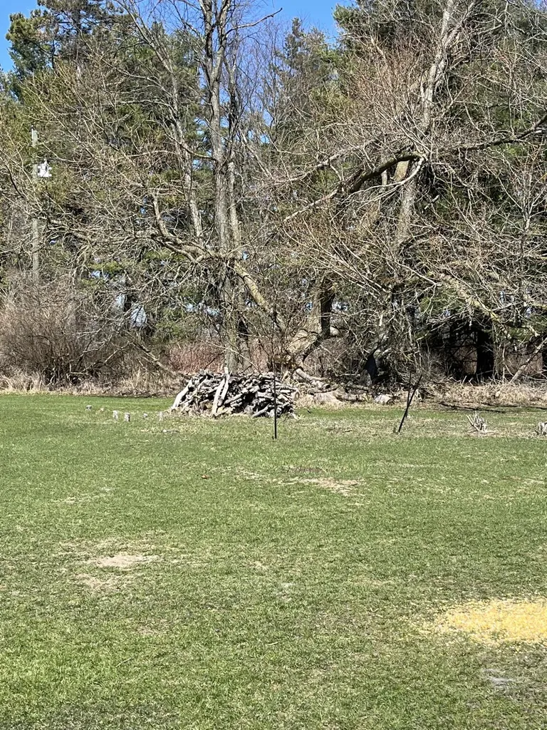 1337 21 Mile Road Fork Township MI 49305