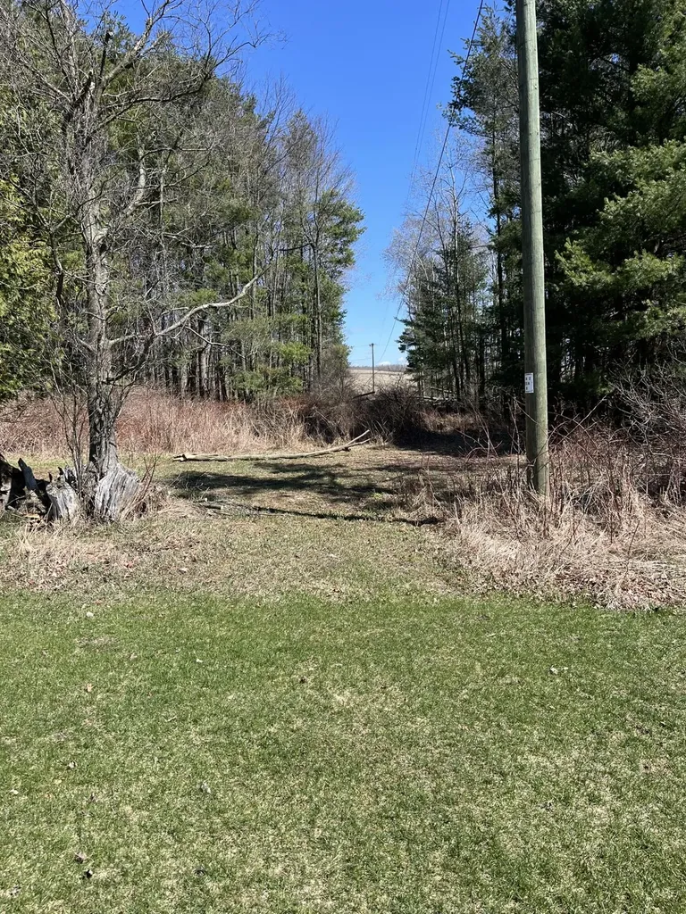 1337 21 Mile Road Fork Township MI 49305
