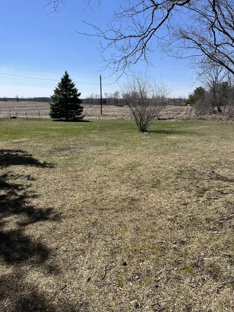 1337 21 Mile Road Fork Township MI 49305