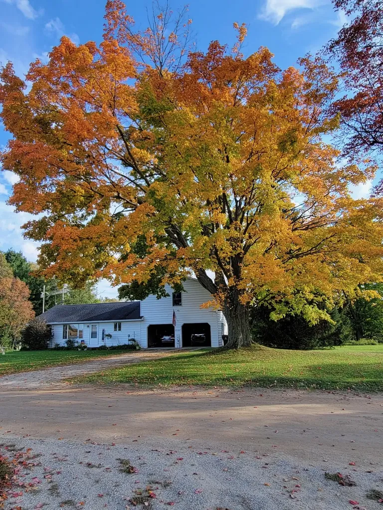 1337 21 Mile Road Fork Township MI 49305