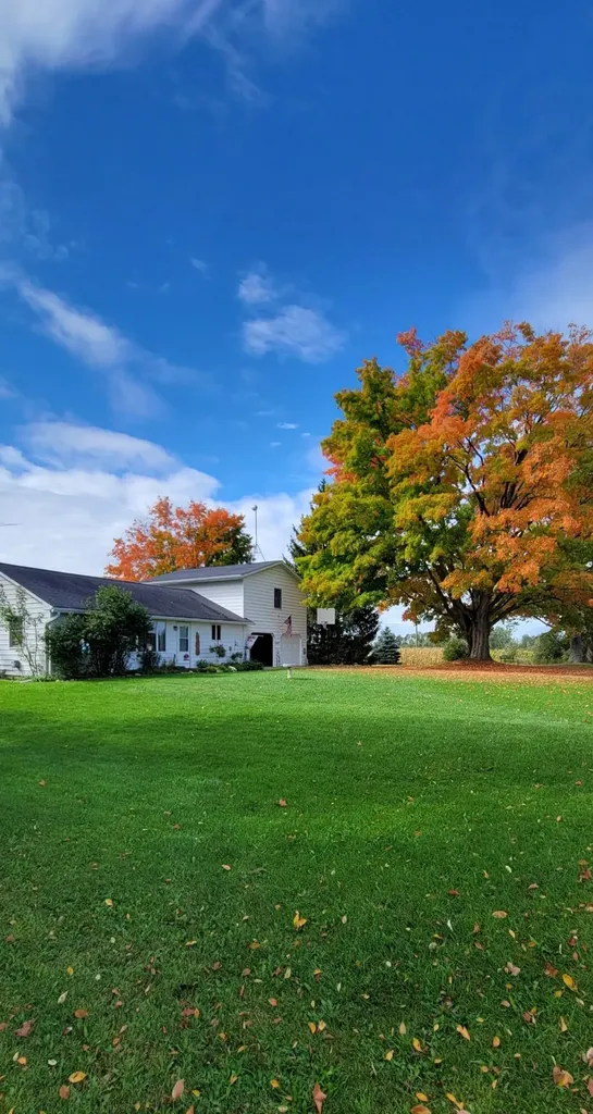 1337 21 Mile Road Fork Township MI 49305