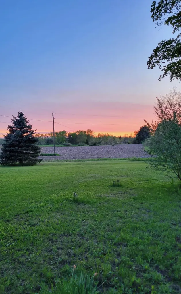 1337 21 Mile Road Fork Township MI 49305