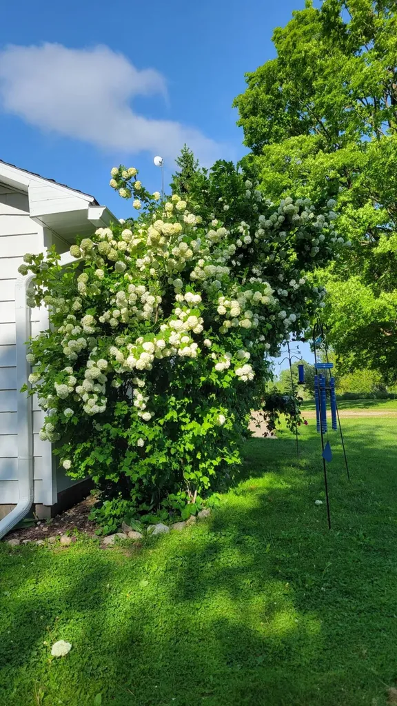 1337 21 Mile Road Fork Township MI 49305