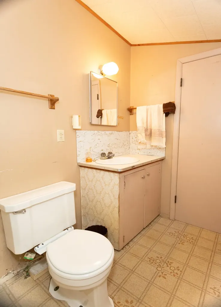 260 S Scott Street Aetna Township MI 49336