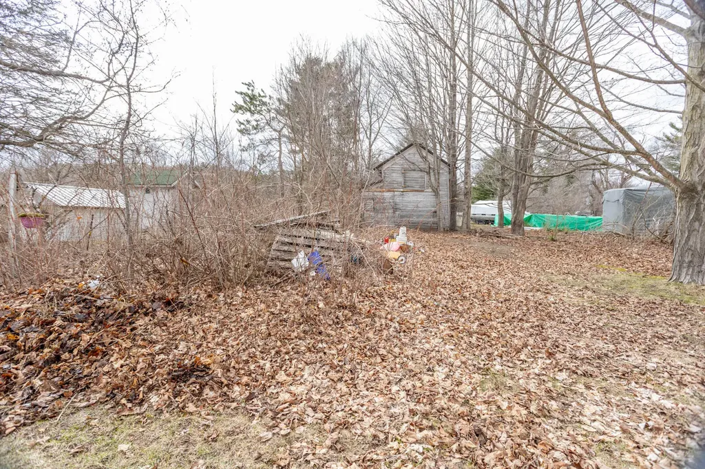260 S Scott Street Aetna Township MI 49336