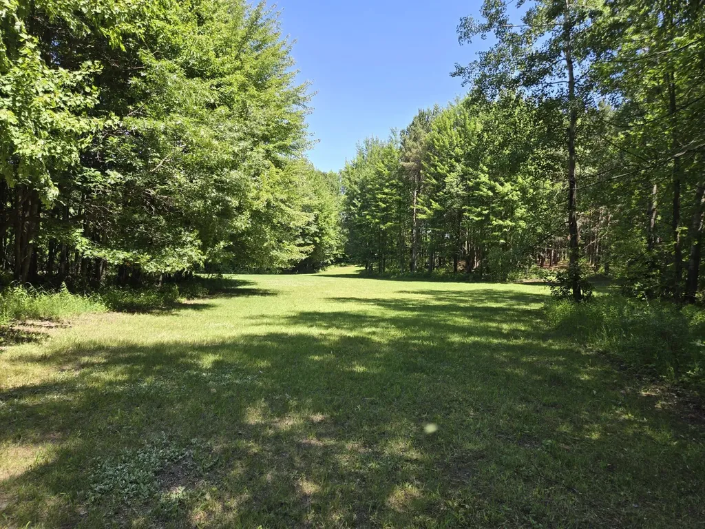 3371 Noble Road Addison Township MI 48370