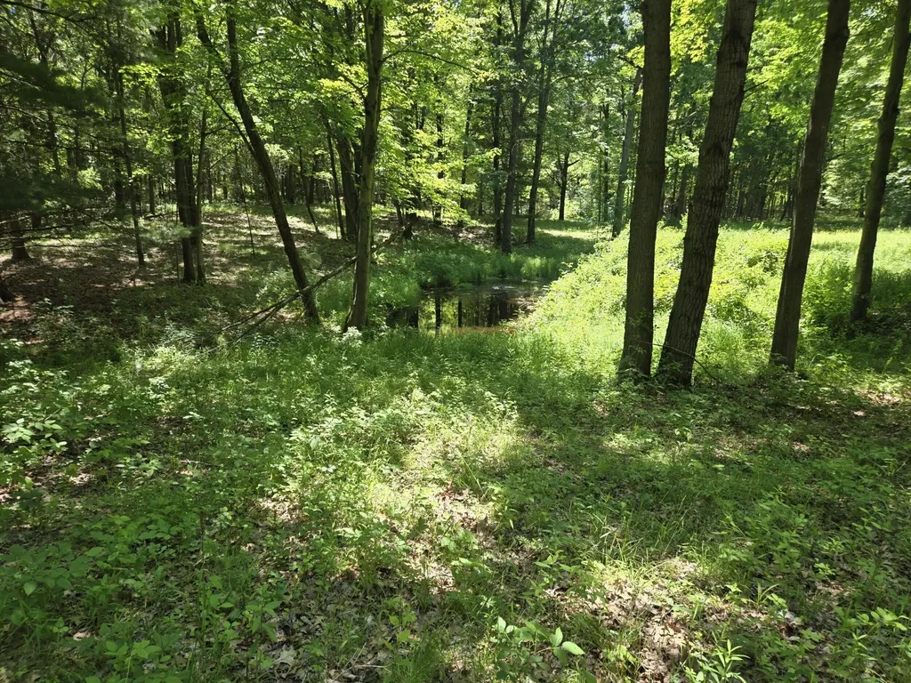 3371 Noble Road Addison Township MI 48370