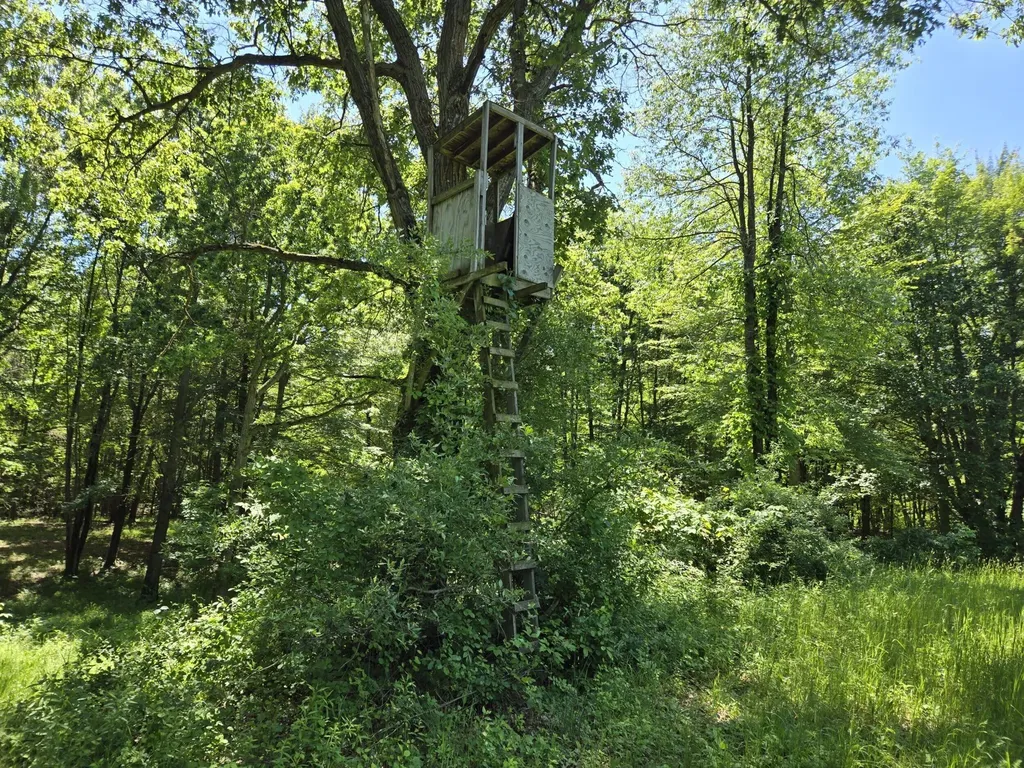 3371 Noble Road Addison Township MI 48370