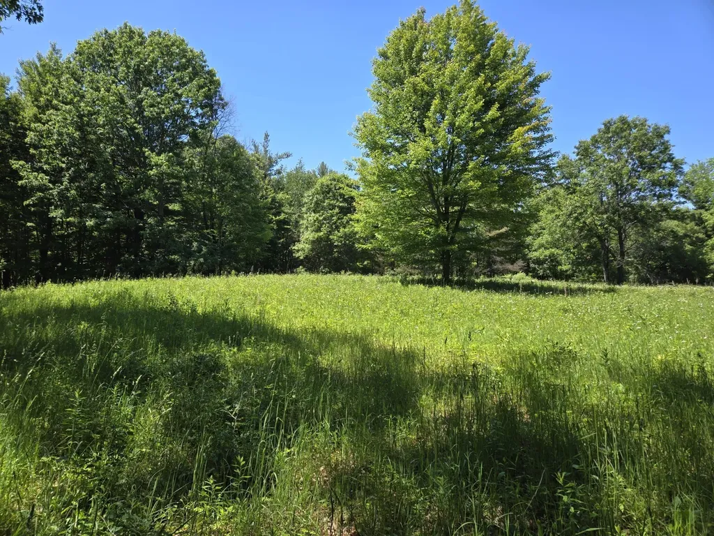 3371 Noble Road Addison Township MI 48370