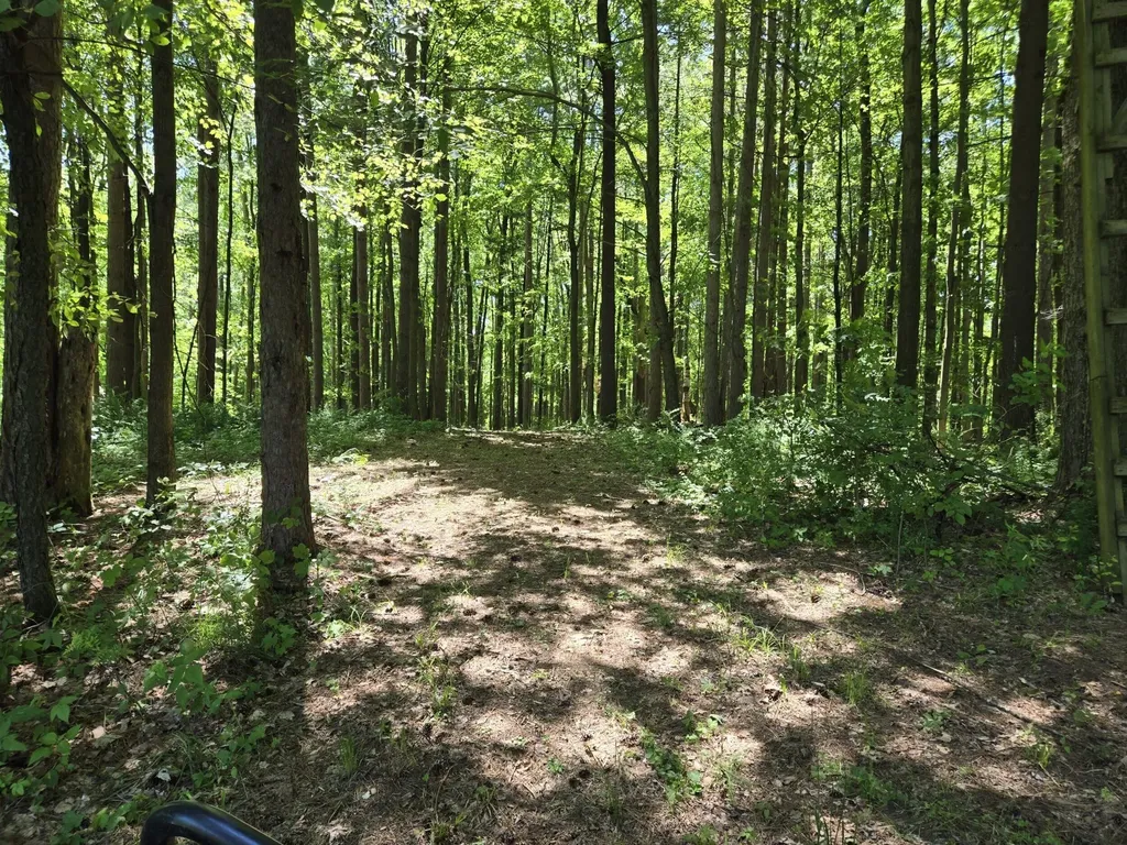 3371 Noble Road Addison Township MI 48370