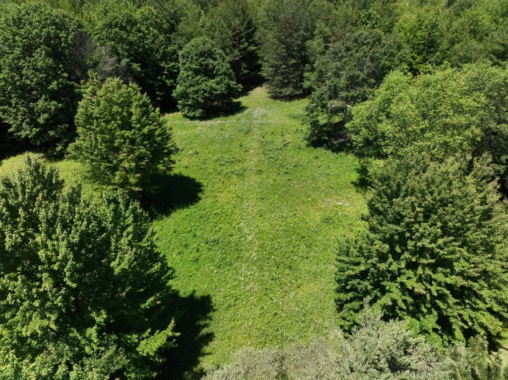 3371 Noble Road Addison Township MI 48370