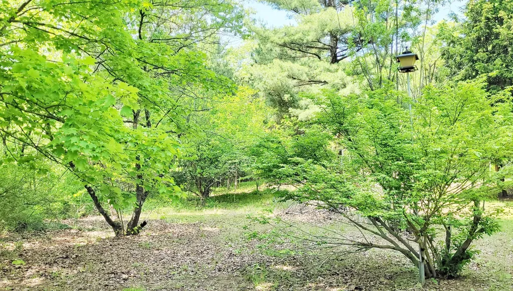 5350 E Crystal Lake Road Holton Township MI 49425