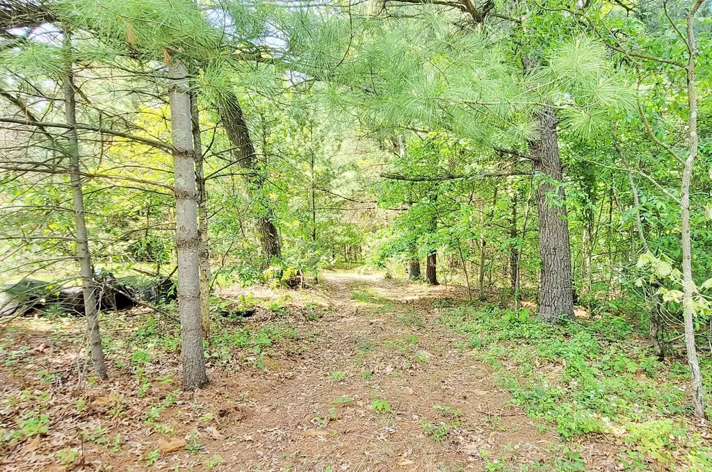 5350 E Crystal Lake Road Holton Township MI 49425