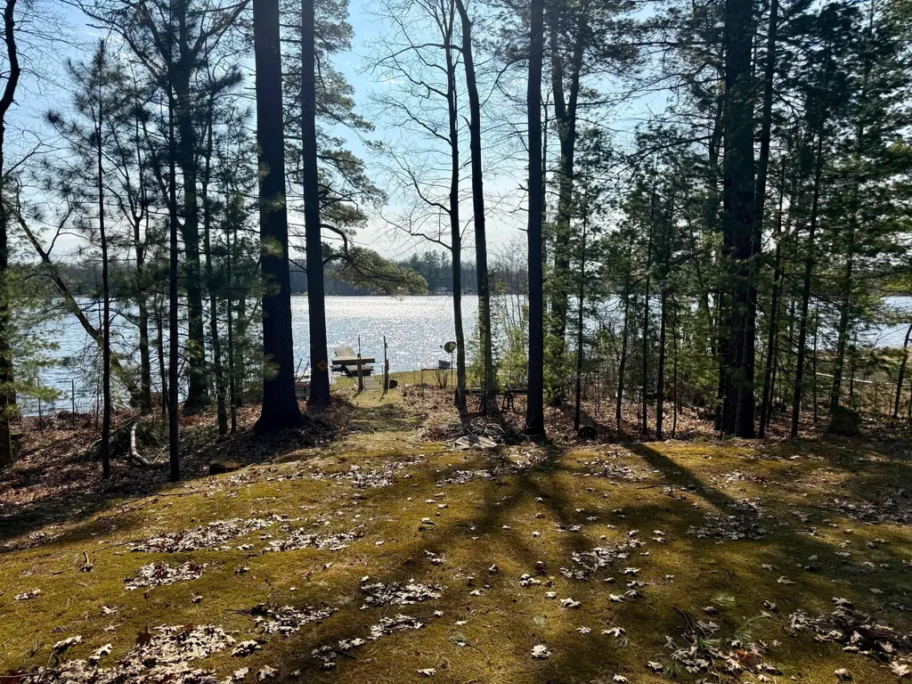 13239 N Gordon Avenue Lilley Township MI 49309