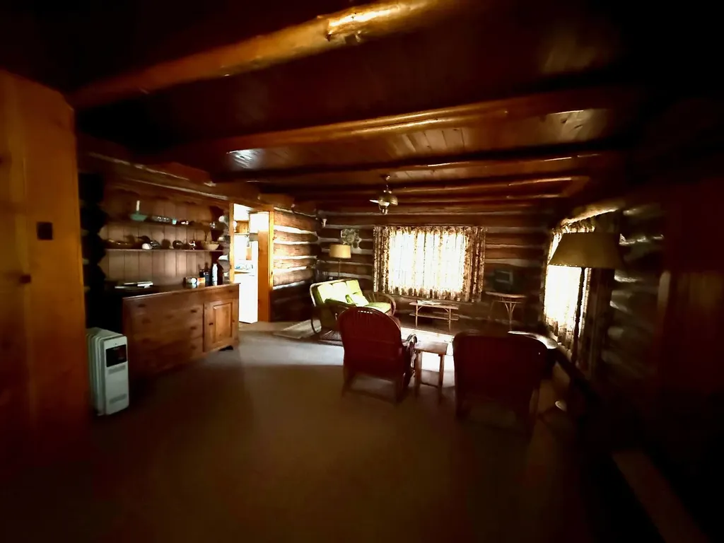 13239 N Gordon Avenue Lilley Township MI 49309