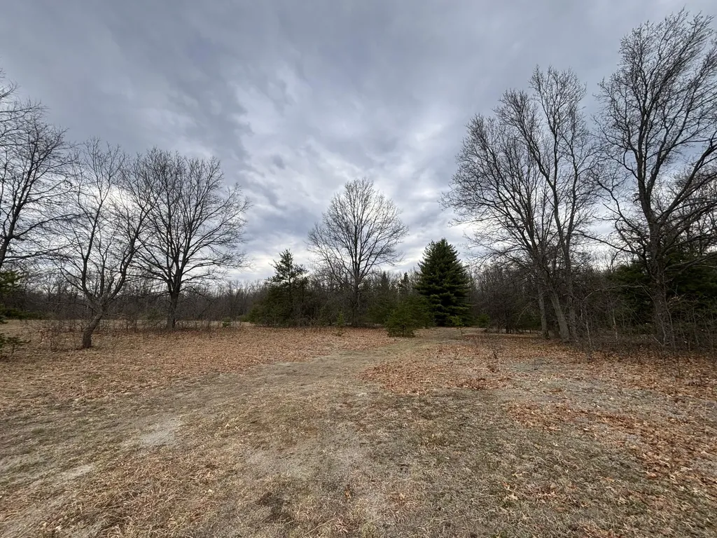 5771 N Woodbridge Road Merrill Township MI 49349