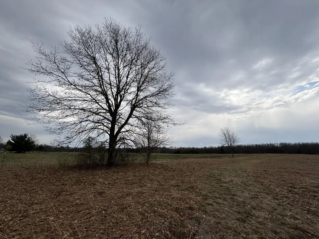 5771 N Woodbridge Road Merrill Township MI 49349