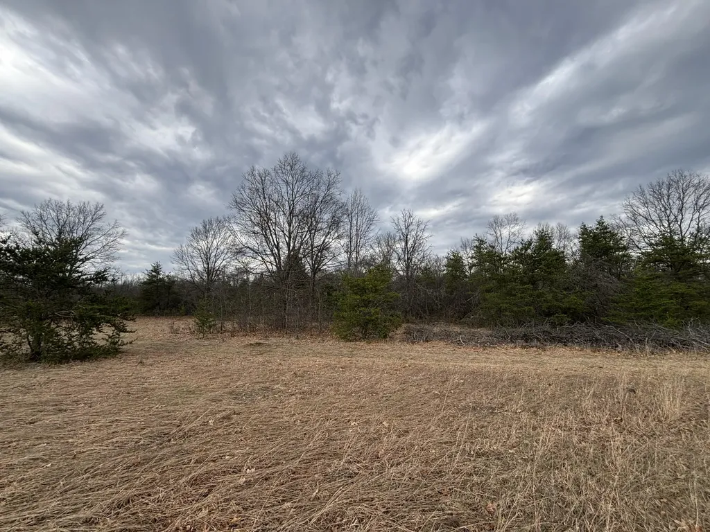5771 N Woodbridge Road Merrill Township MI 49349