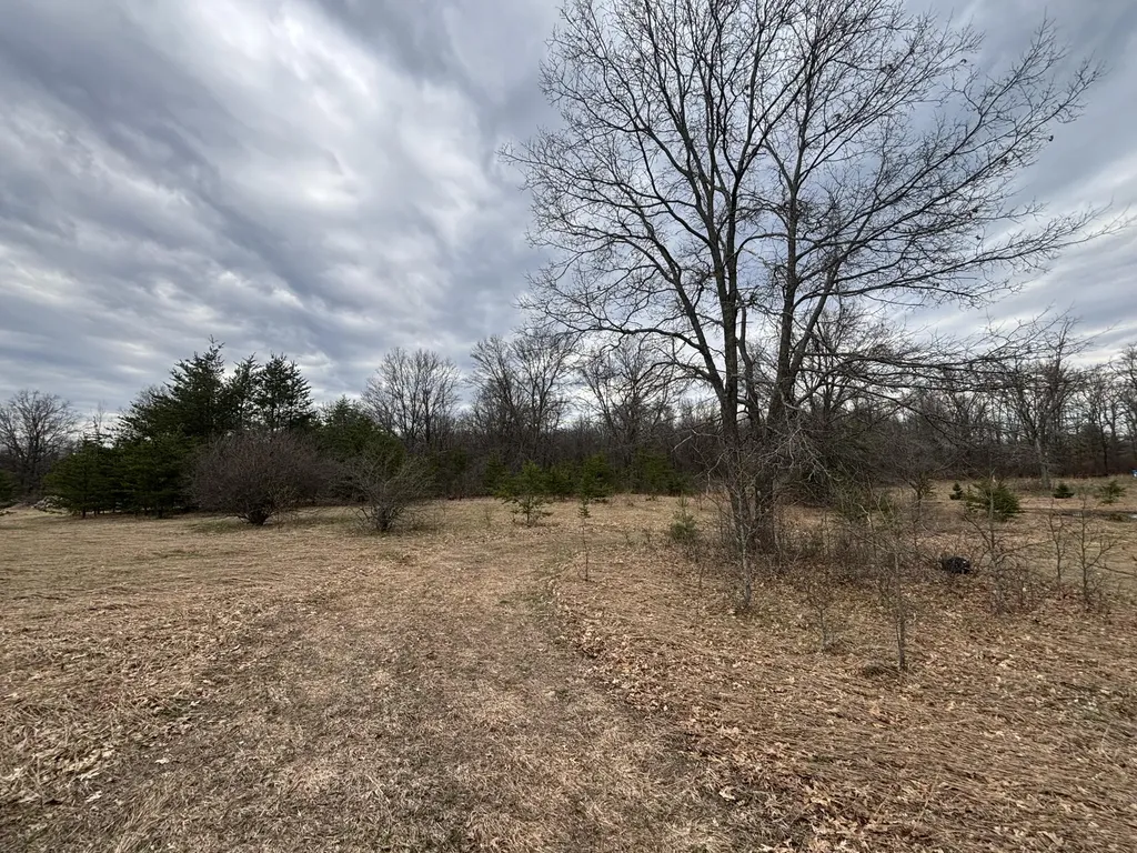 5771 N Woodbridge Road Merrill Township MI 49349