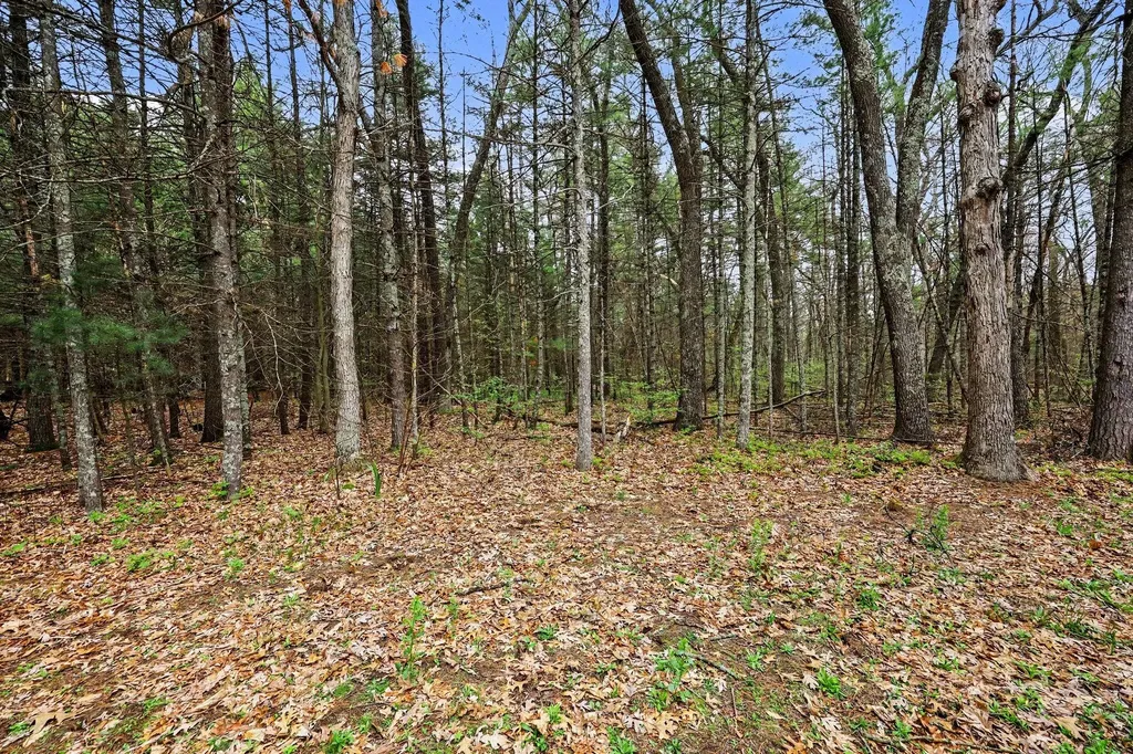 5842 Beech Street Cedar Creek Township MI 49457