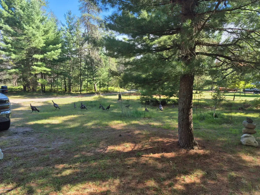 9890 Angel Road SE Garfield Township MI 49633