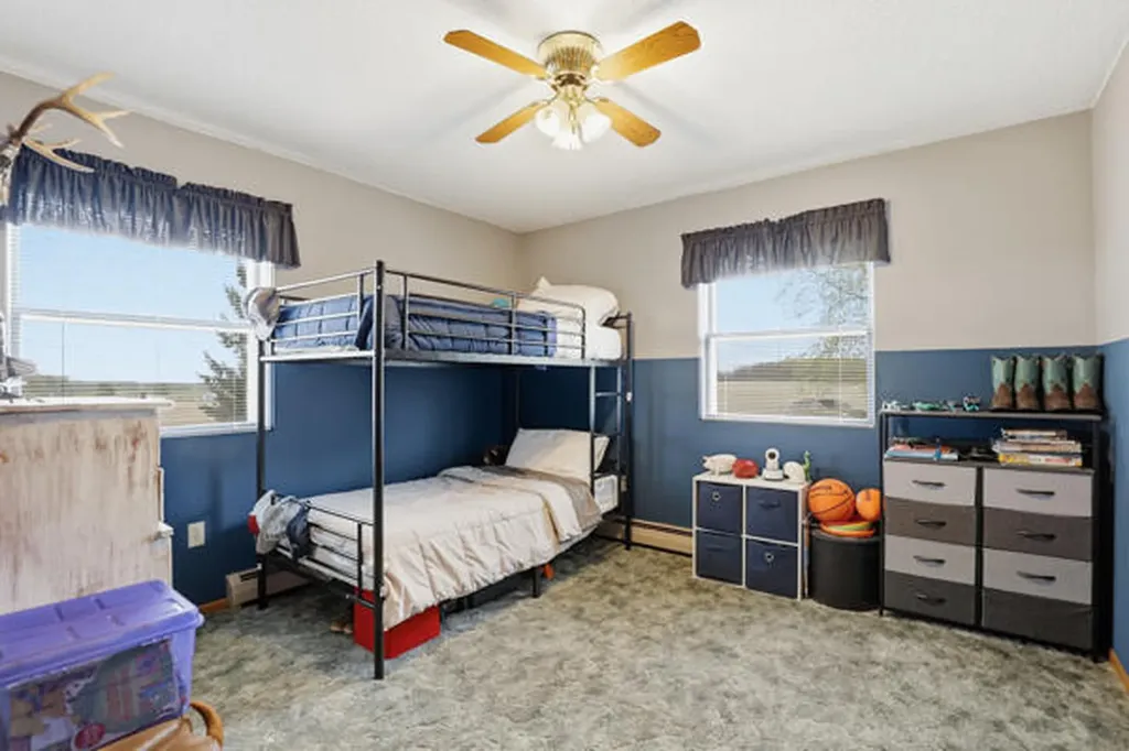8835 E Mcbrides Road Ferris Township MI 48891