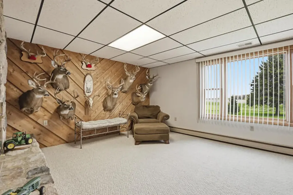 8835 E Mcbrides Road Ferris Township MI 48891
