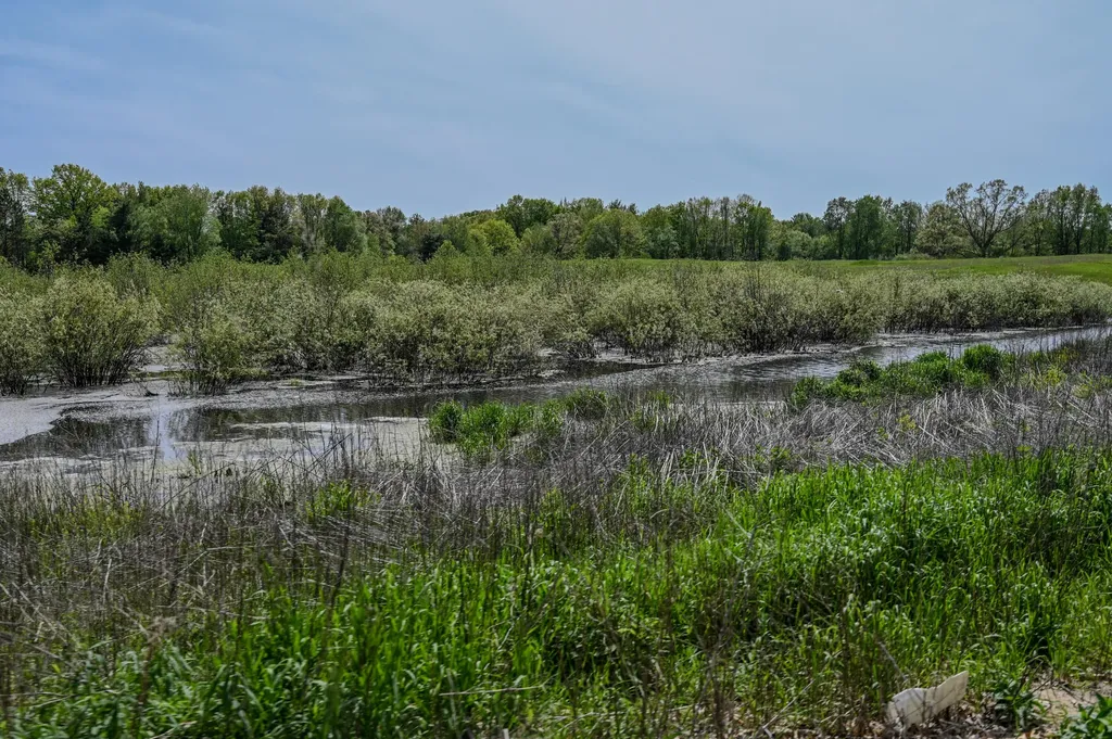 8492 Gibson Avenue Garfield Township MI 48632