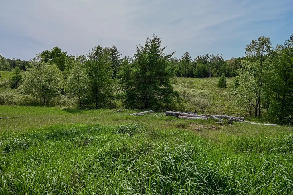 8492 Gibson Avenue Garfield Township MI 48632