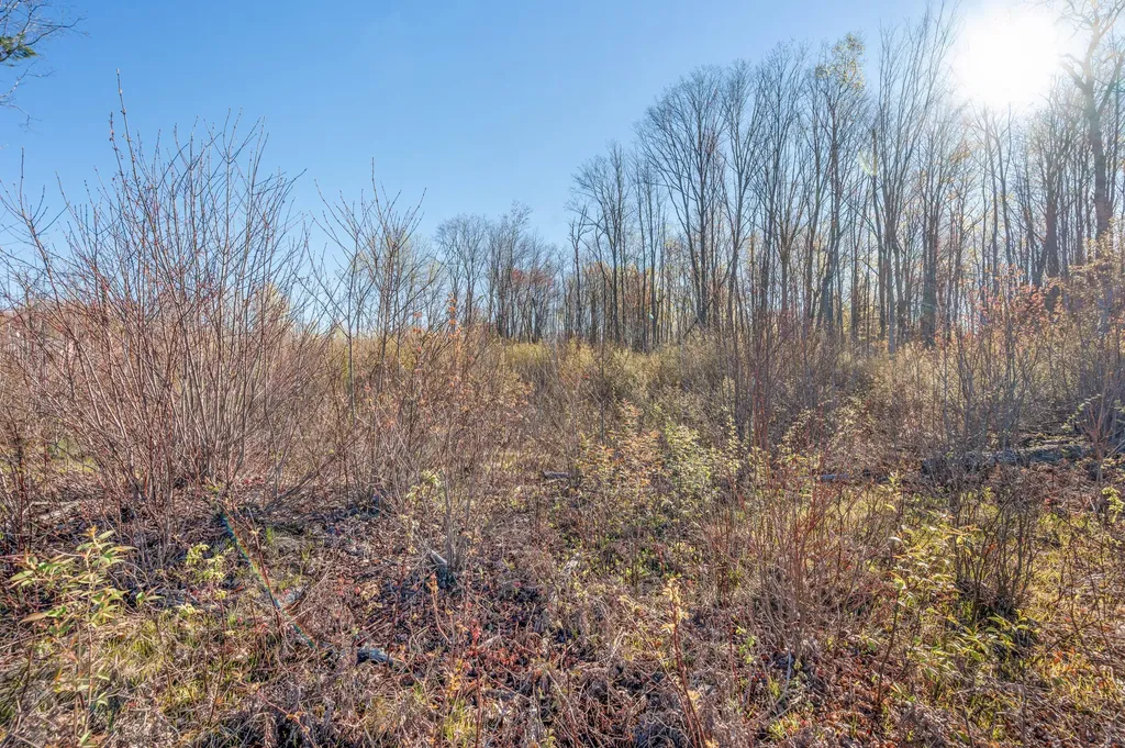 16107 12 Mile Road Cedar Township MI 49655