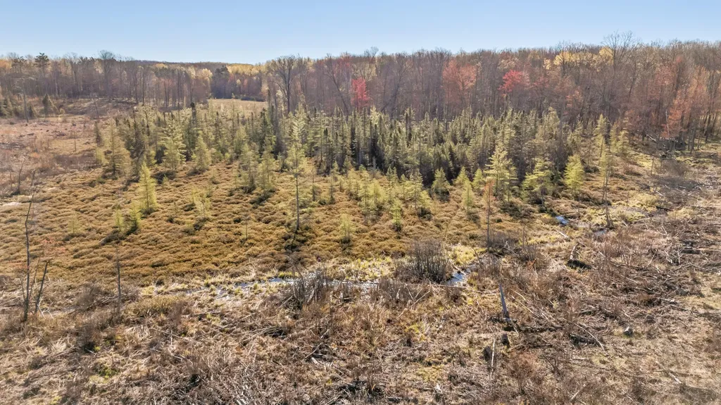 16107 12 Mile Road Cedar Township MI 49655