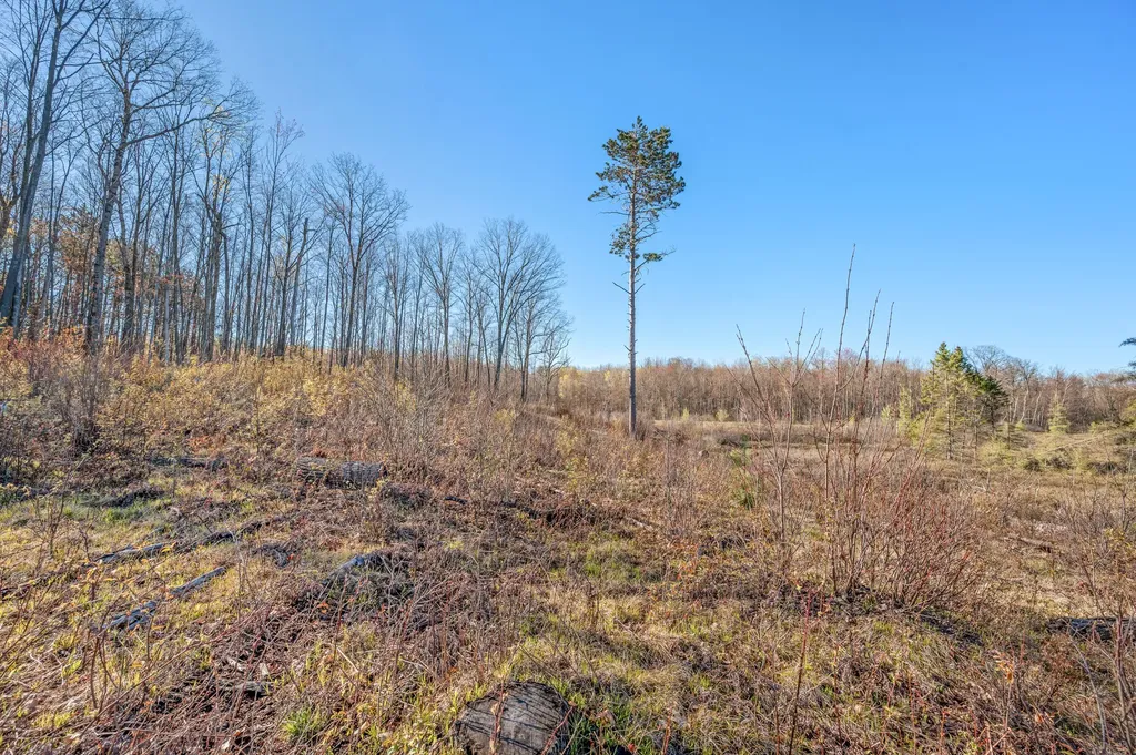 16107 12 Mile Road Cedar Township MI 49655