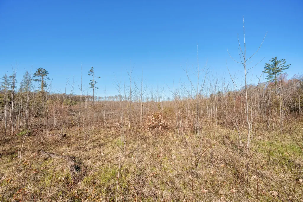 16107 12 Mile Road Cedar Township MI 49655