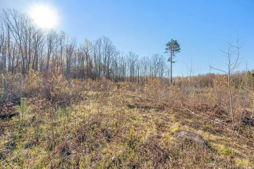 16107 12 Mile Road Cedar Township MI 49655