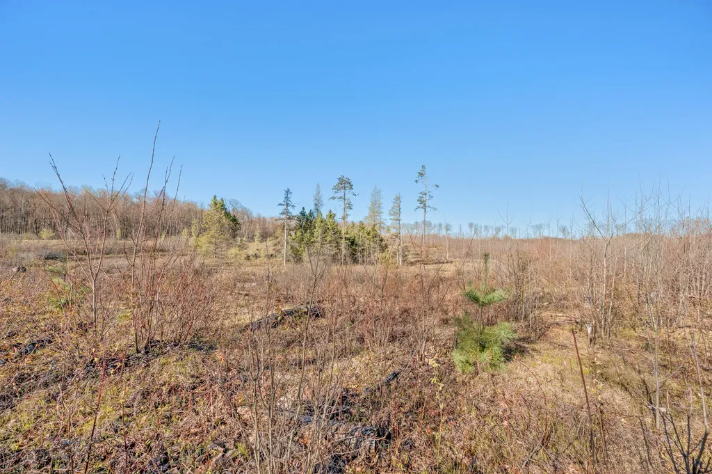 16107 12 Mile Road Cedar Township MI 49655