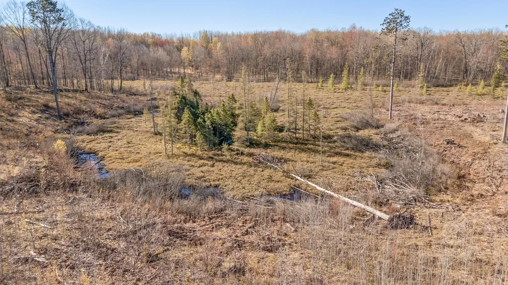 16107 12 Mile Road Cedar Township MI 49655