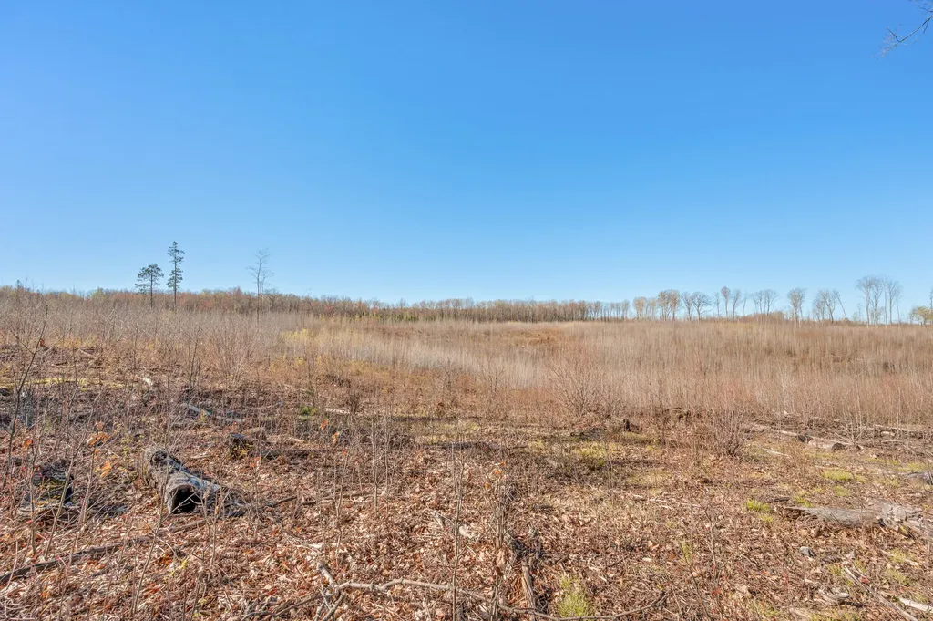 16107 12 Mile Road Cedar Township MI 49655