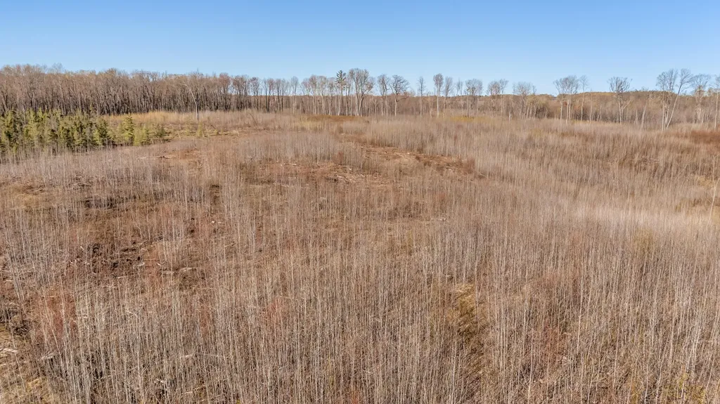 16107 12 Mile Road Cedar Township MI 49655