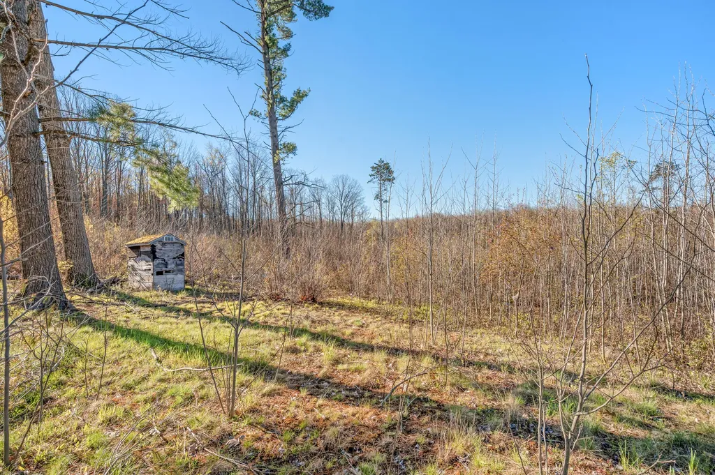 16107 12 Mile Road Cedar Township MI 49655