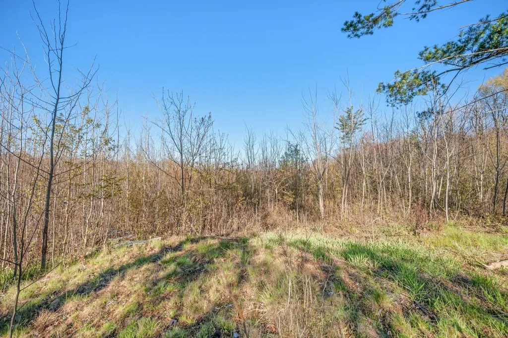 16107 12 Mile Road Cedar Township MI 49655