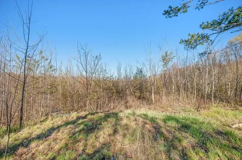 16107 12 Mile Road Cedar Township MI 49655