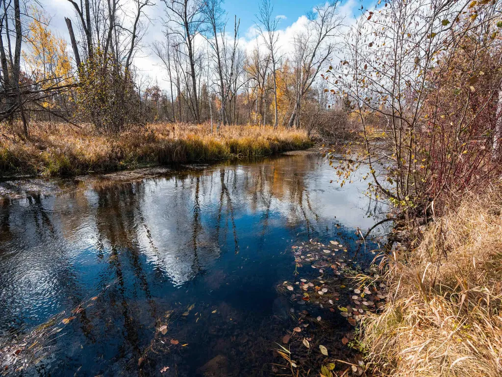 1853 W Old M-63 Peacock Township MI 49656