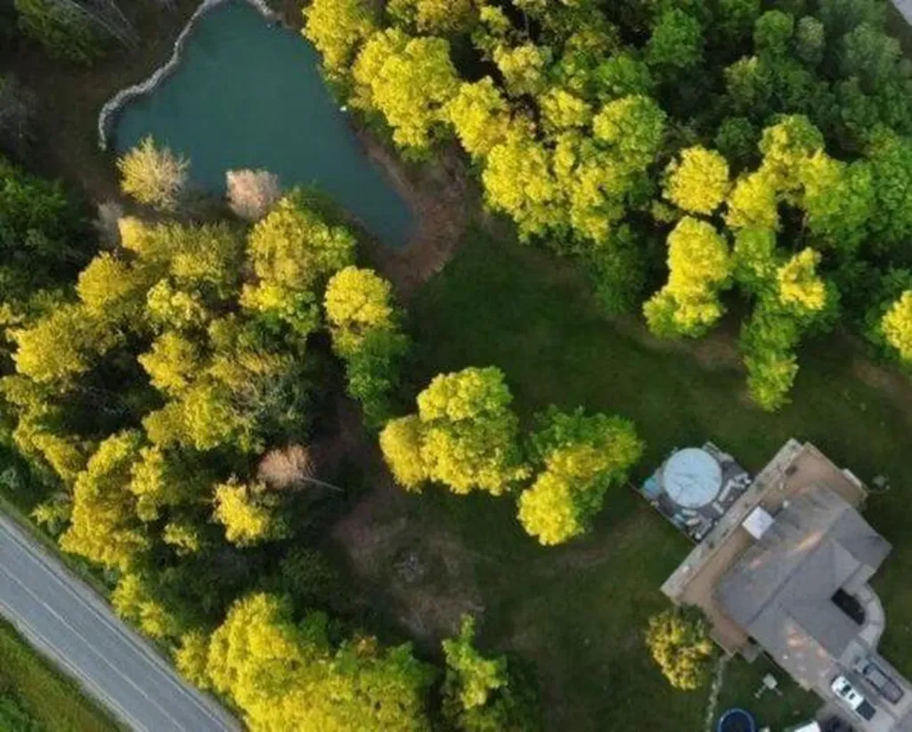 18274 200th Avenue Burdell Township MI 49655