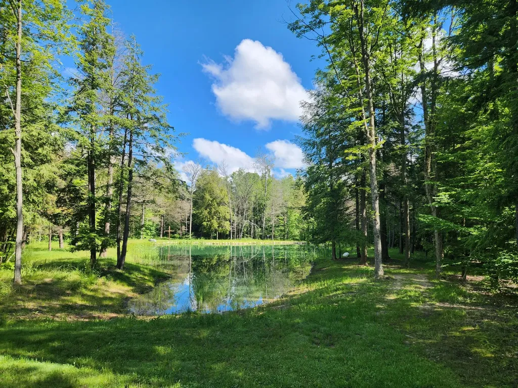 18274 200th Avenue Burdell Township MI 49655