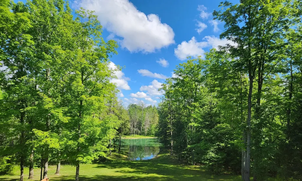 18274 200th Avenue Burdell Township MI 49655