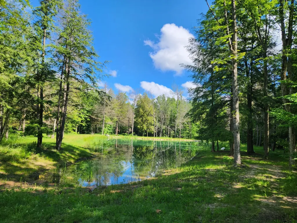 18274 200th Avenue Burdell Township MI 49655