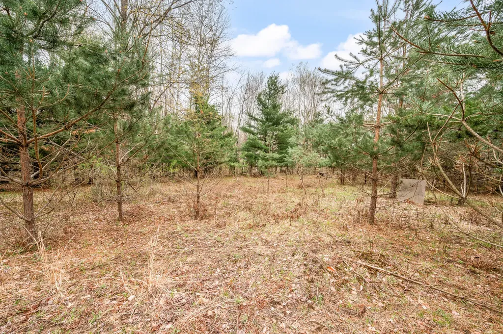 22132 15th Avenue Fork Township MI 49679